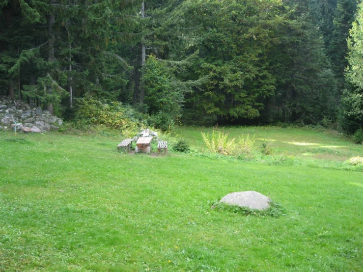 a rock in a field next to a wooded area