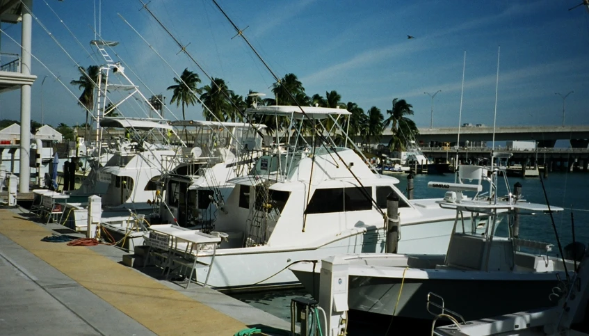 several boats parked next to each other at the marina