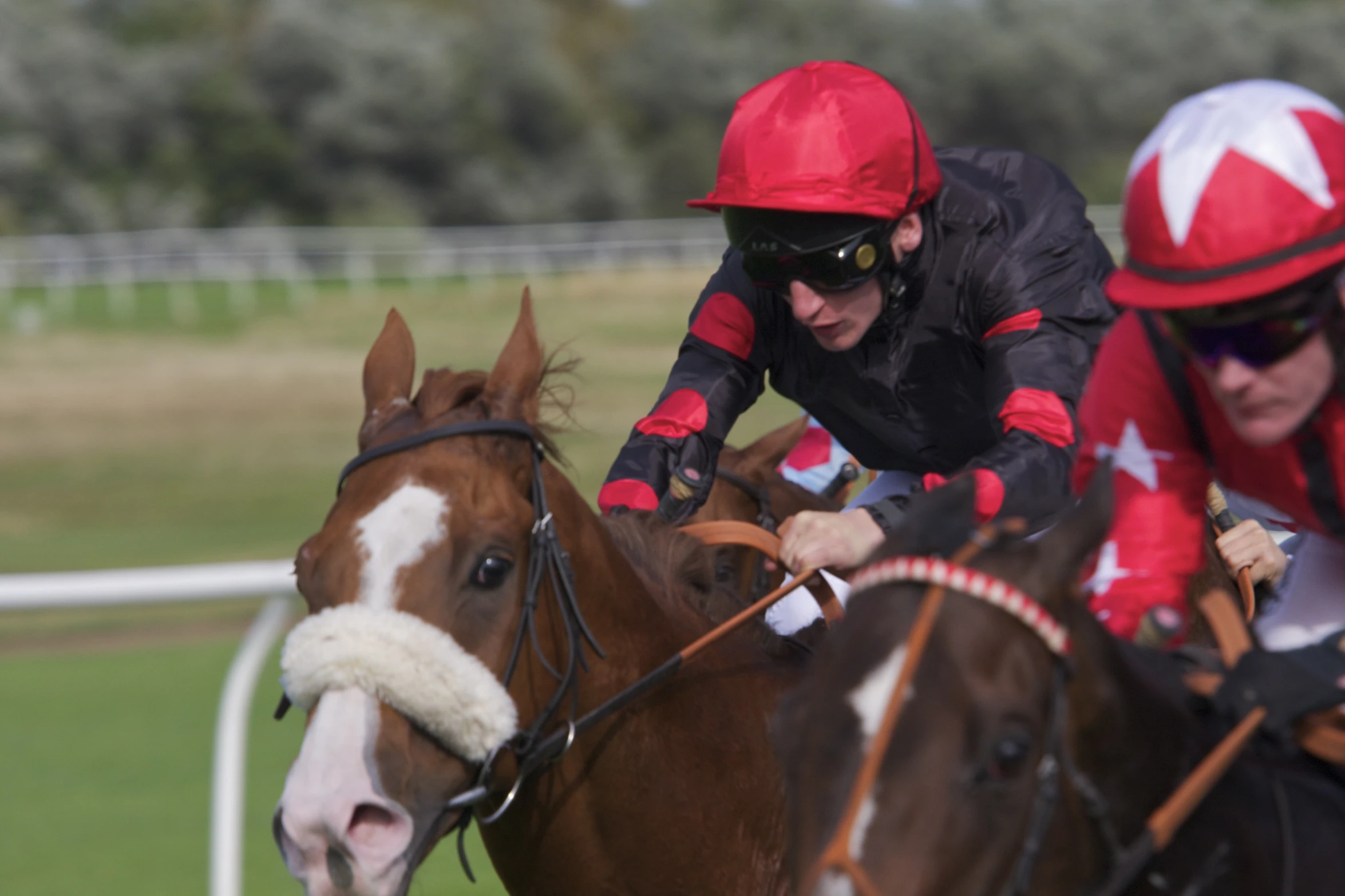 two jockeys in red racing gear ride brown horses