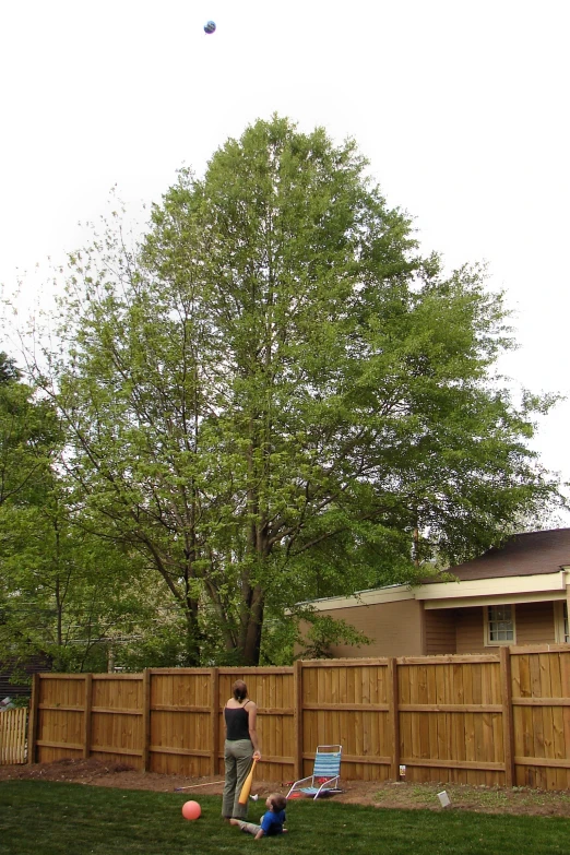 a man in his yard throwing a flying disk