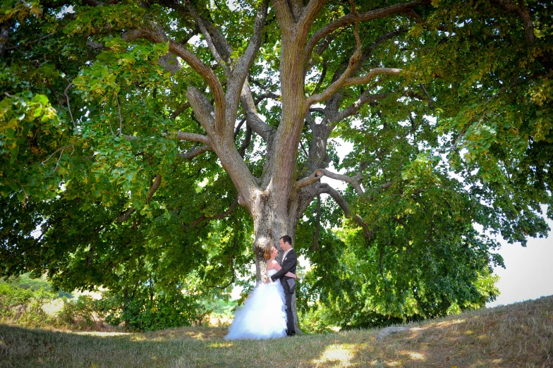 a bride and groom stand under a tree