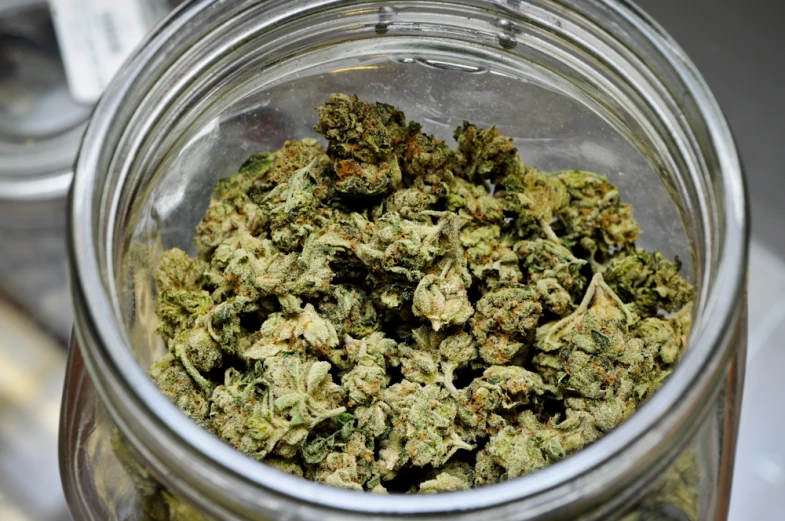 closeup of a clear glass jar filled with weed