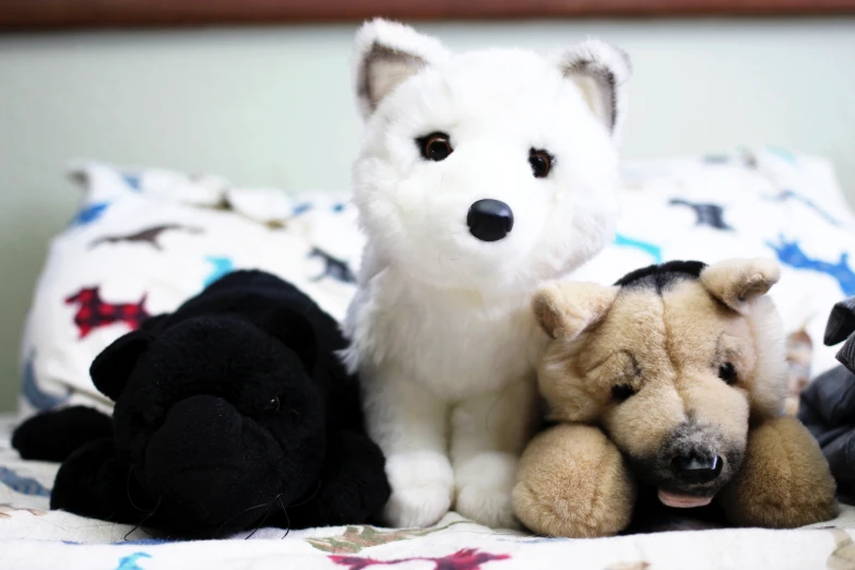 a small white dog next to two plush dogs