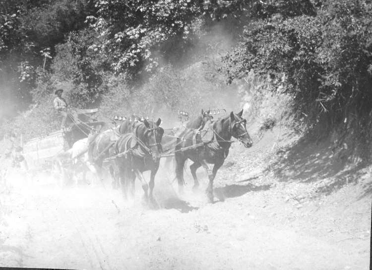 a black and white po of people riding a horse drawn carriage