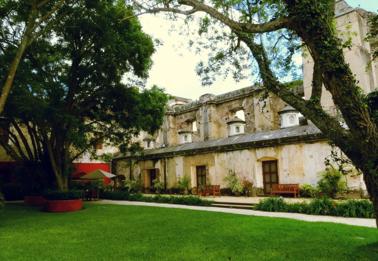 a green yard and some trees and a building