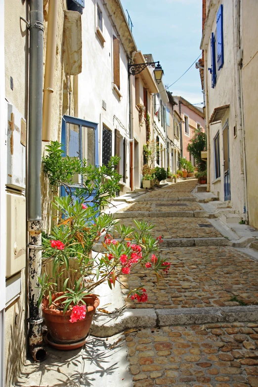 a narrow street with potted plants and stone sidewalks