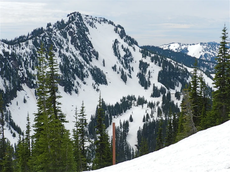 a mountain with snow and trees on the slopes