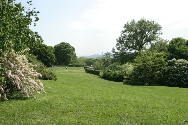 the view of a large grassy field and trees