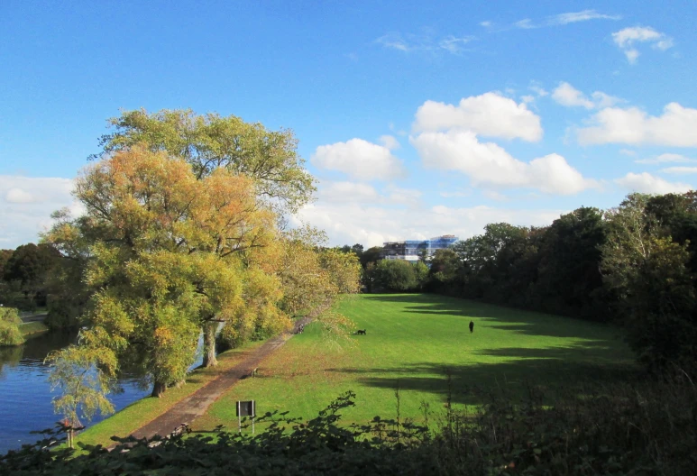 a green field by the water and people walking by