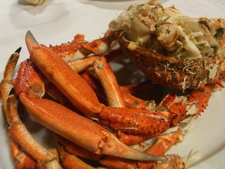 a plate of steamed crabs and oysters