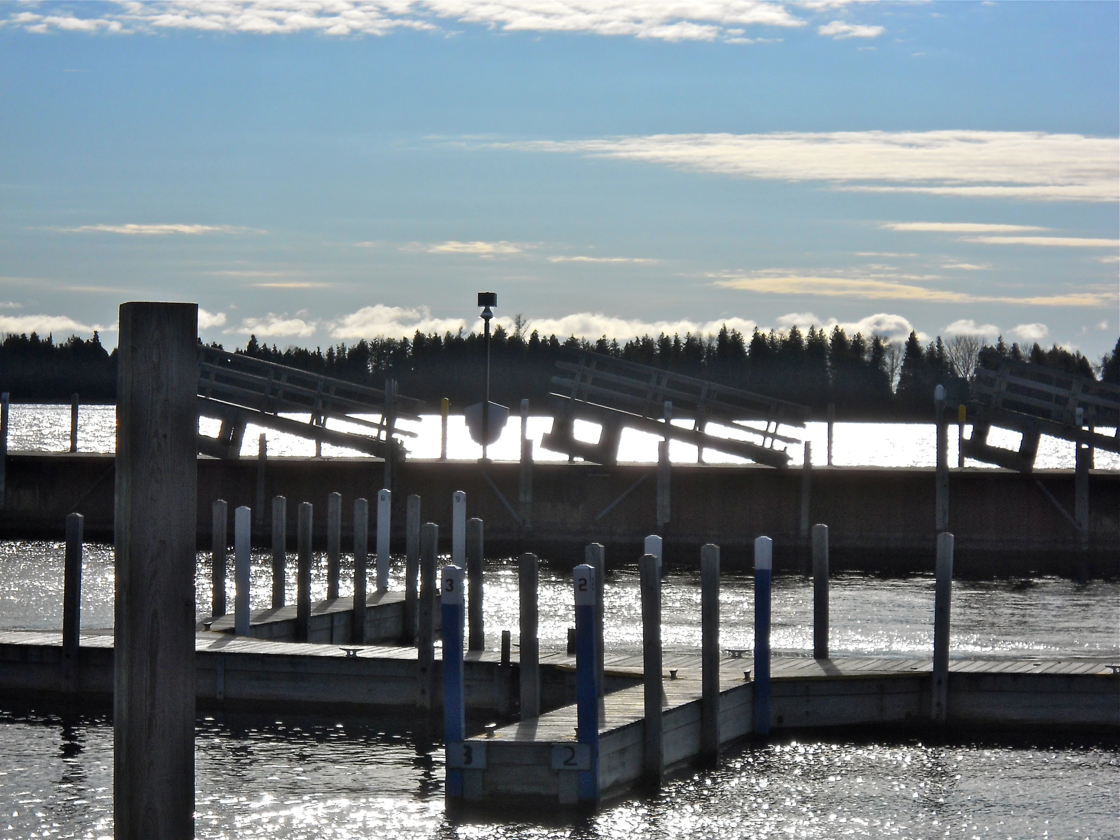 a group of docks with some trees in the background