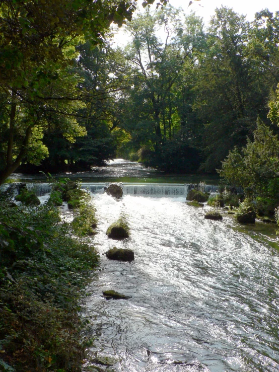 a body of water surrounded by trees and bushes