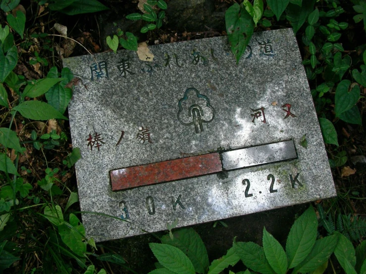 a stone sign that reads the city and has writing on it