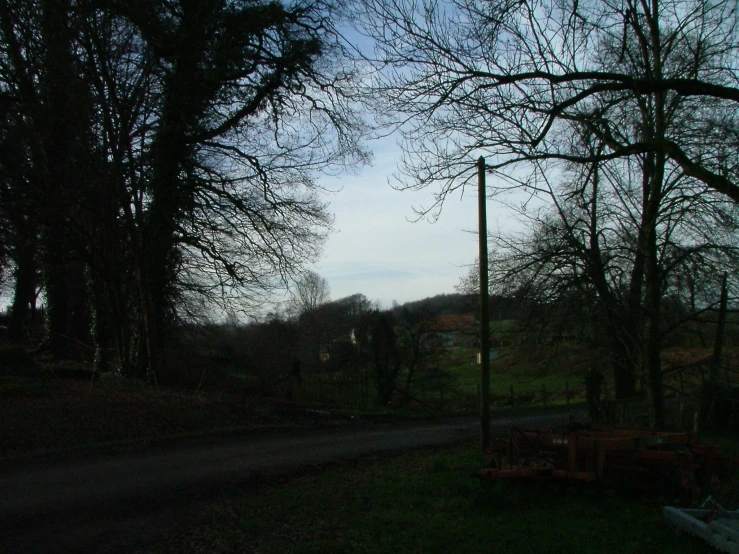 an empty street next to a small wooded area