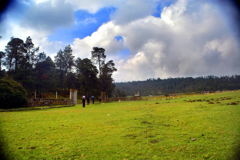 people standing in the grass near many trees