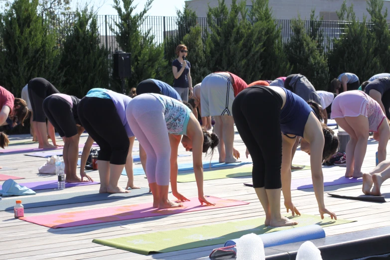 several people are standing in a row on yoga mats