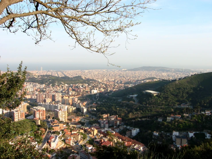 view from the top of a hill of city buildings