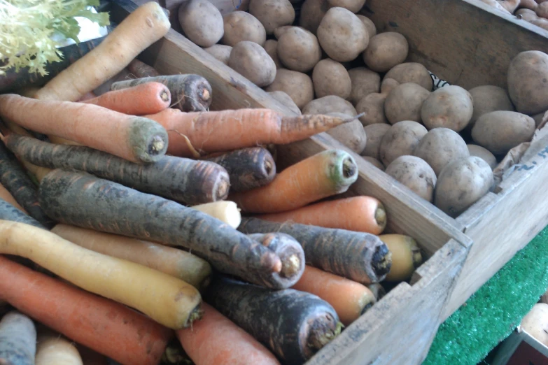 many carrots and potatoes in wooden boxes on display