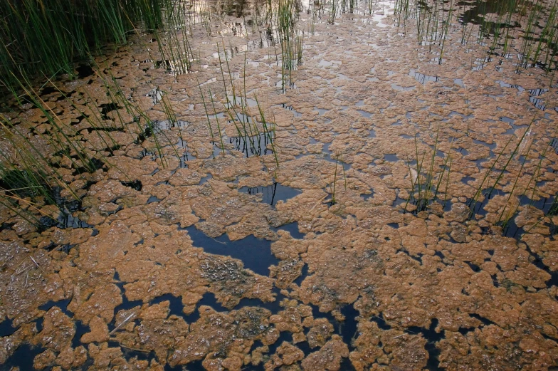 a picture taken from above of water covered with sand