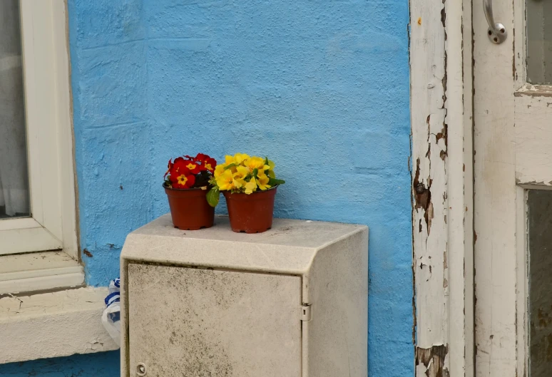 two potted plants sit on top of a white box