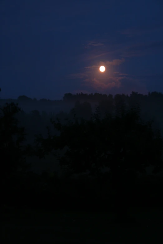 a large full moon in the sky above some trees