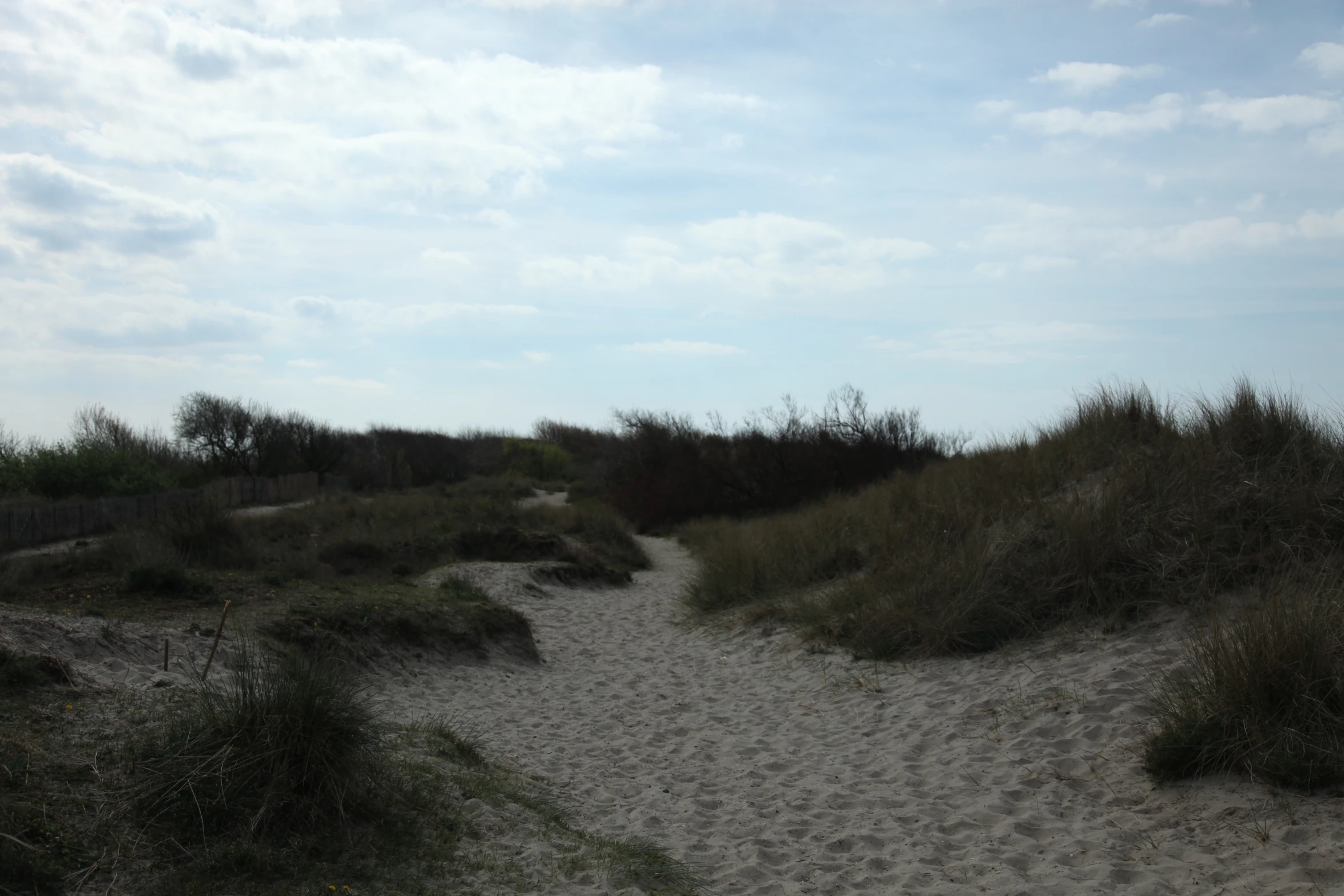 a bench that is in the sand near grass