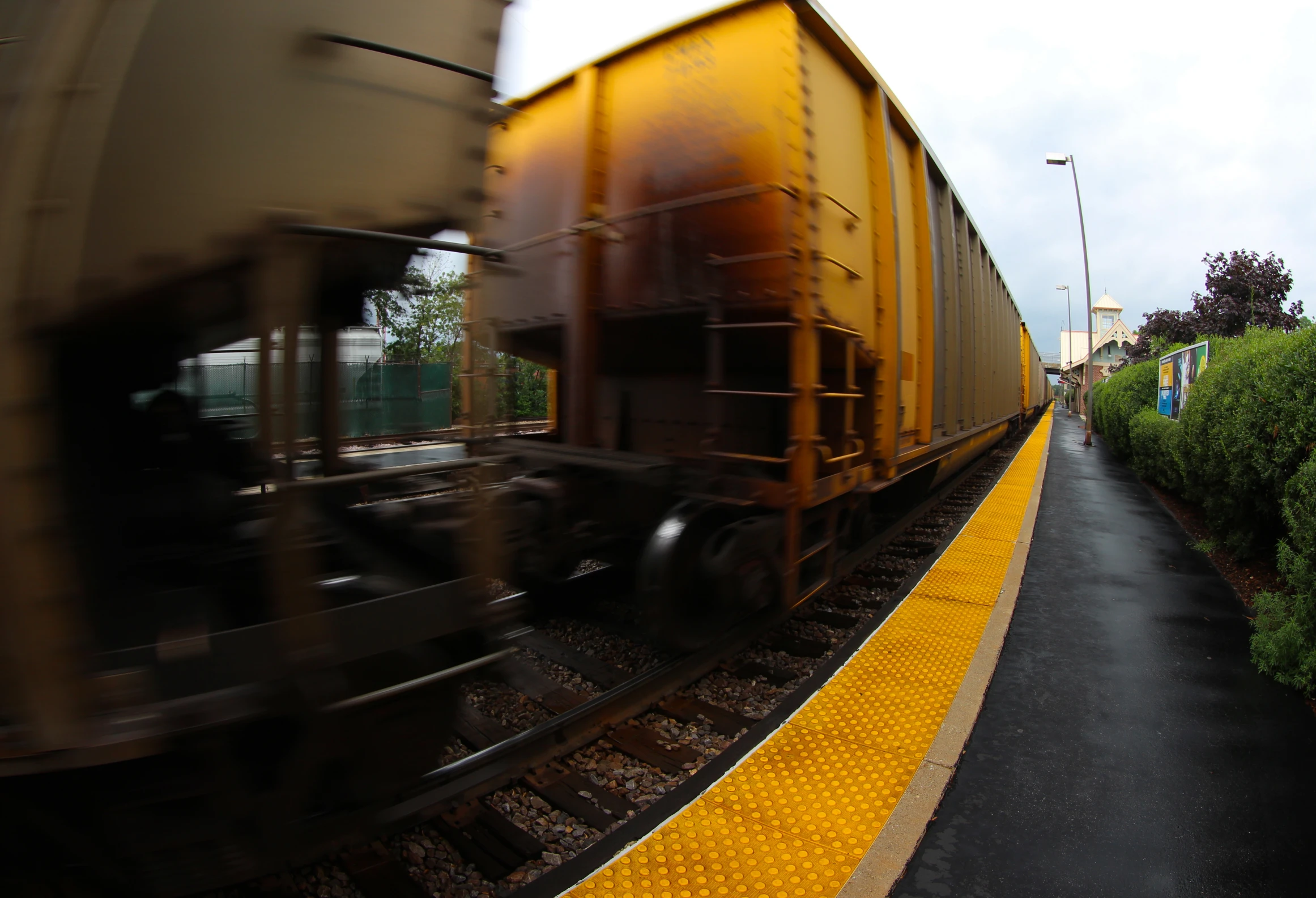 a train rolls past a rural landscape with bushes