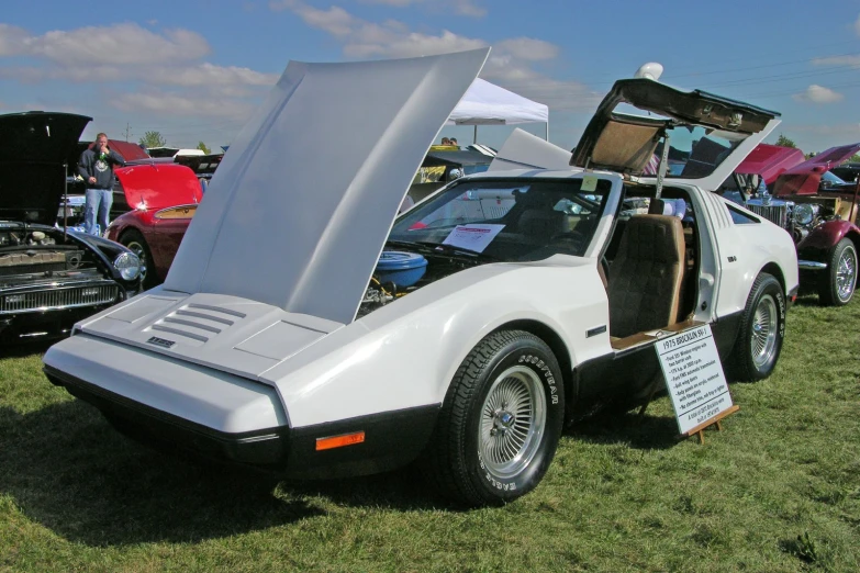 an unusual looking car parked on the grass with its hood open