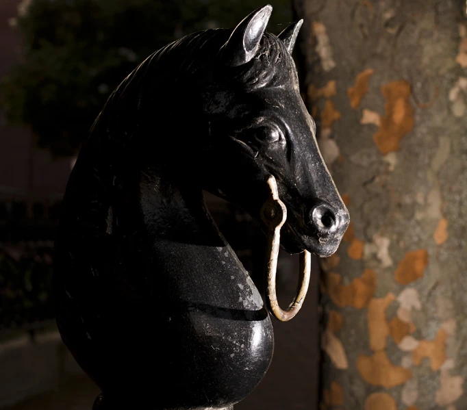 the horse head is sitting next to a tree