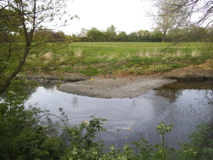 a green field, with grass and trees, with a creek running under it