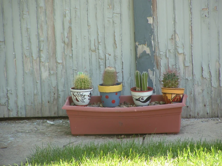 a row of potted plants sitting in a pink planter