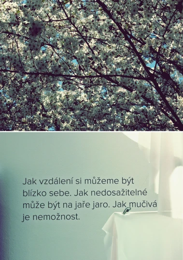 a tree with white blossoms with a quote in front of it