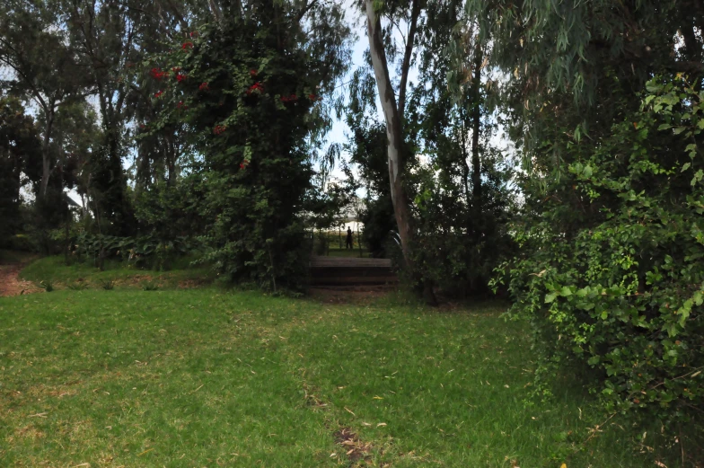 a bench is sitting in a shady area