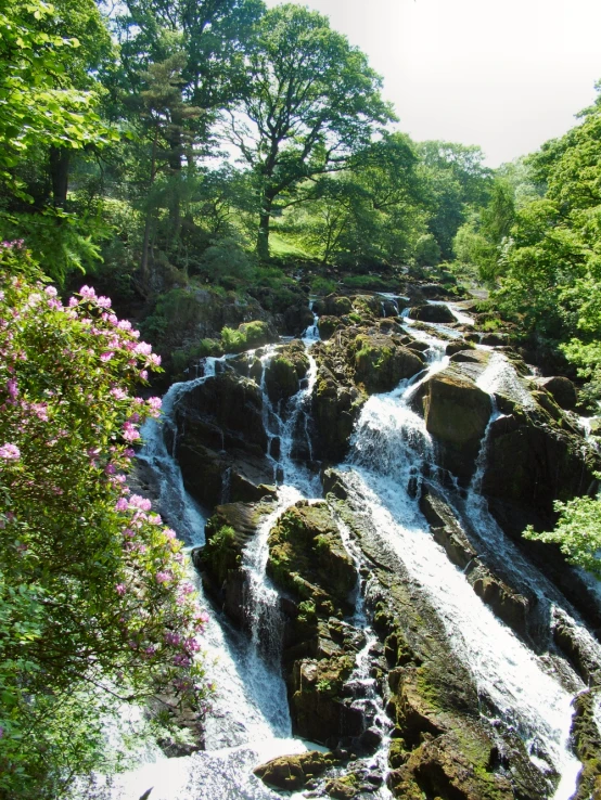 a waterfall surrounded by rocks, and lush trees