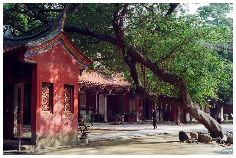 people are walking around an oriental building under a tree