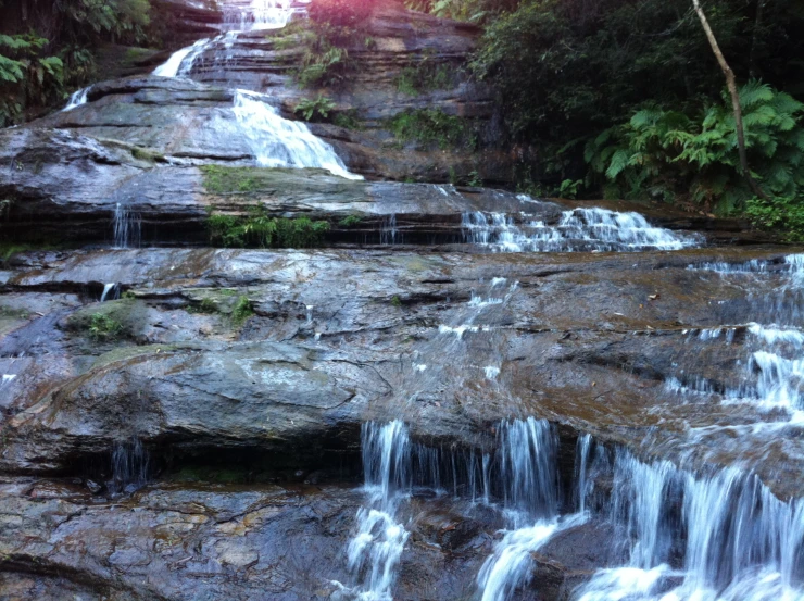 water fall at the edge of a river with lush vegetation