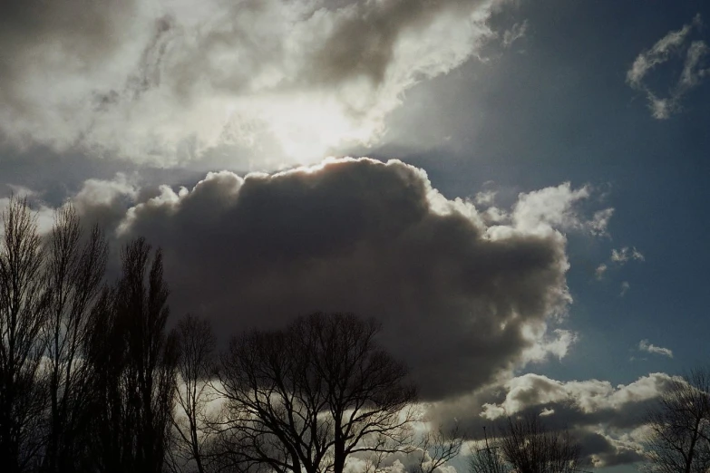 clouds form a shadow of trees against a blue sky