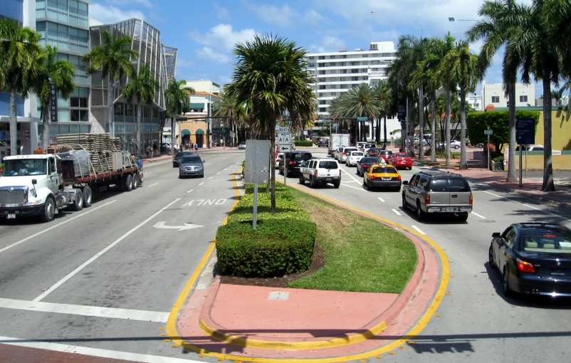 some vehicles driving down a street with palm trees