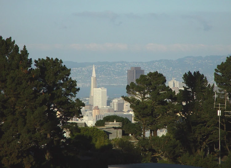 a city view from an overlook point through the trees