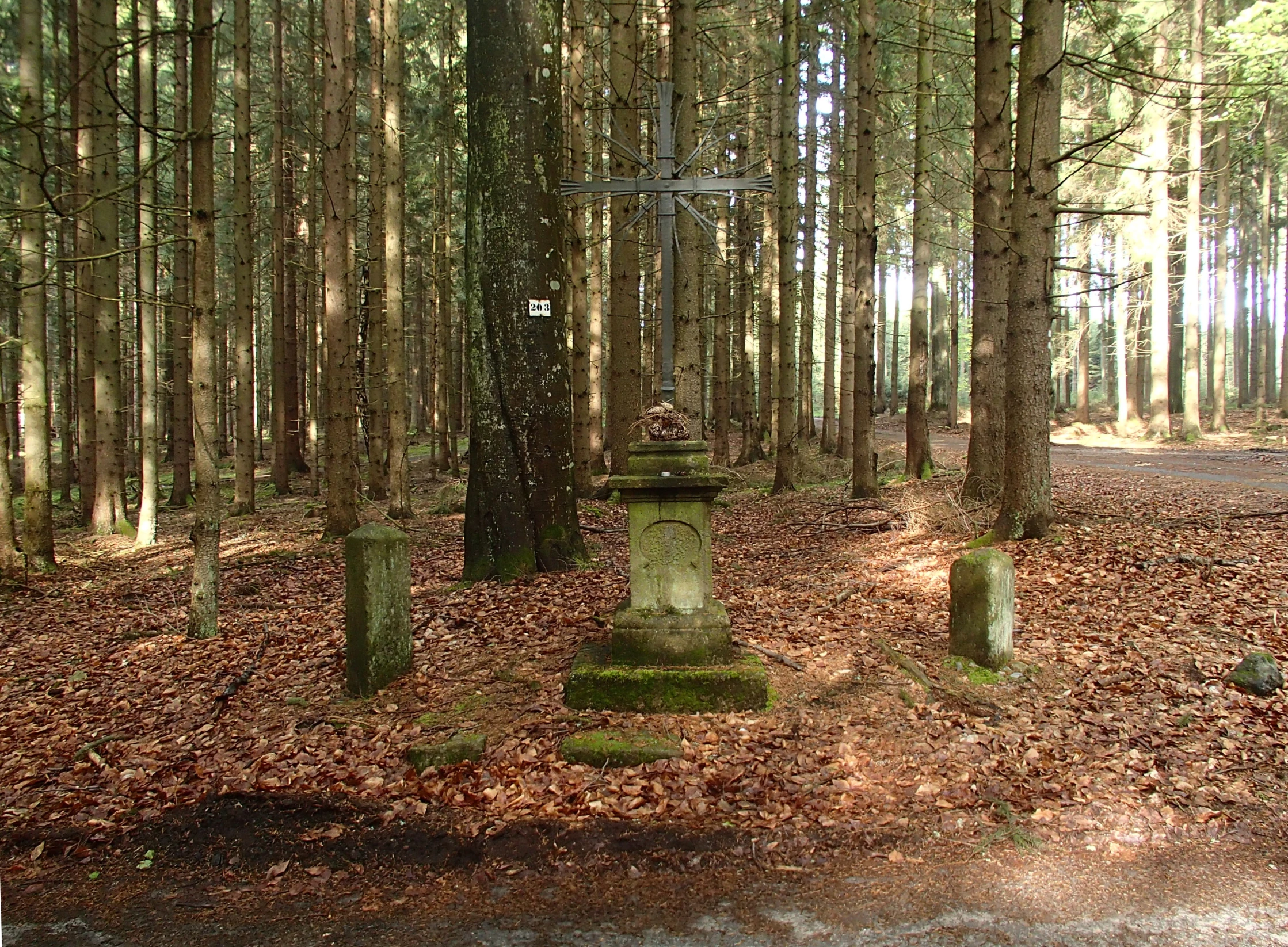 several stone pillars sitting next to each other in a forest