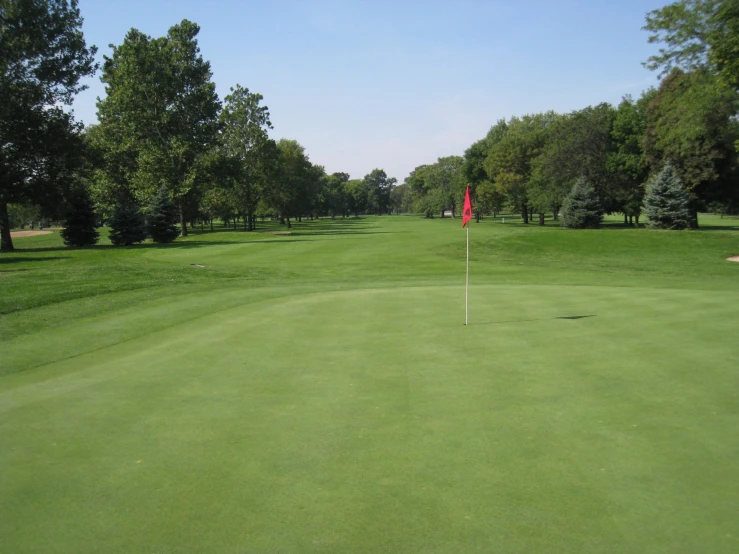 the golf green has been cleaned with trees