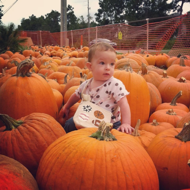 a little girl sitting between a lot of pumpkins