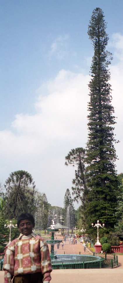 a man with his skateboard in front of a tree
