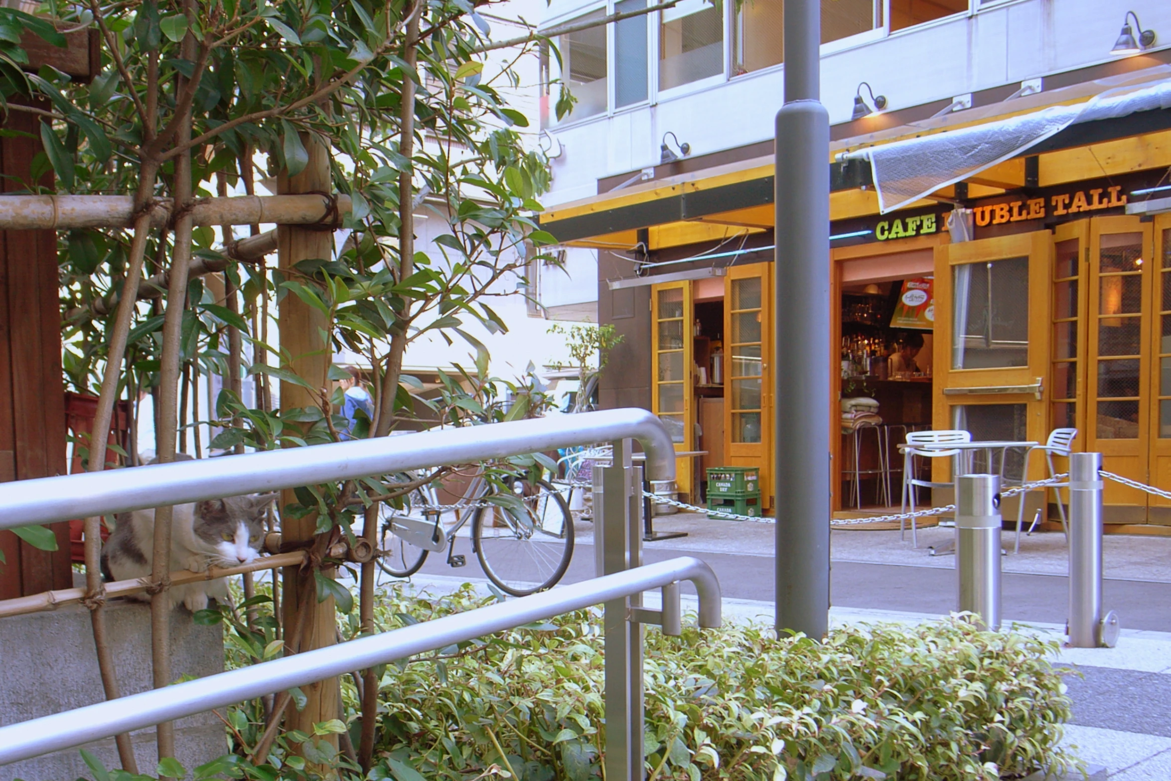a bicycle rack along side the street in front of a restaurant