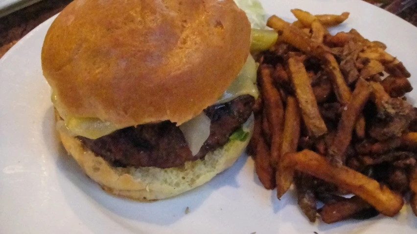 a pulled pork burger on top of a bun and fries