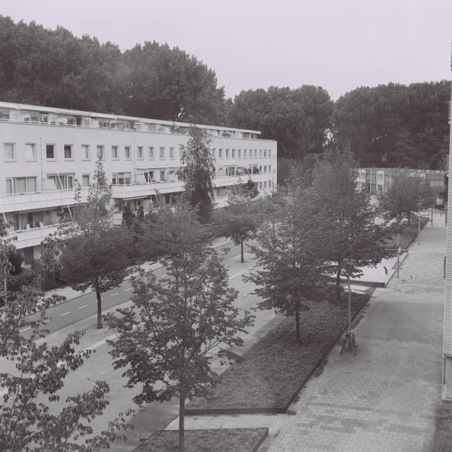 a very long white building with several trees in the background