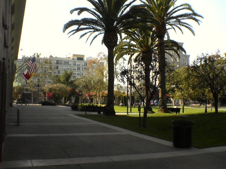 a park area is shown with palm trees