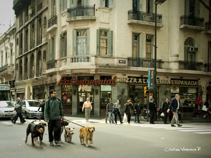 a man in a jacket walking four dogs in the street