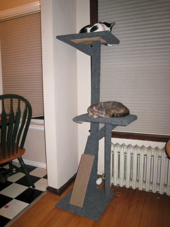 there is a cat that is lying on top of the scratching tower