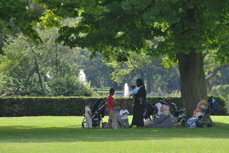 people are sitting in the park by a tree